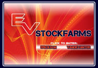 EV Stockfarms